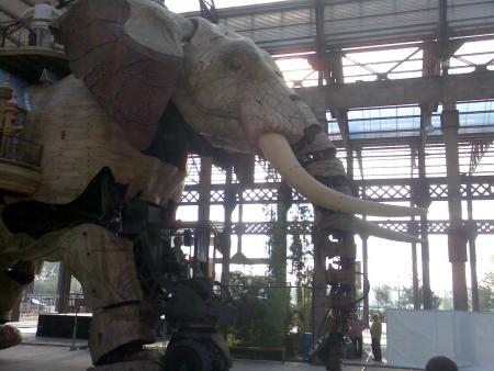 L'éléphant de l'ile au machine